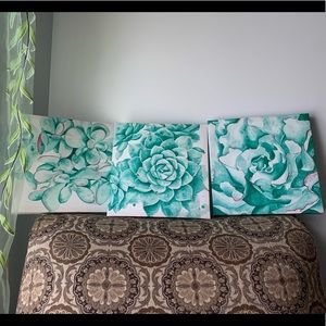 Succulent Trio Canvas Art